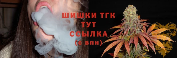 ПСИЛОЦИБИНОВЫЕ ГРИБЫ Алзамай