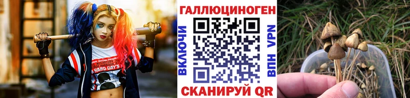 Псилоцибиновые грибы Cubensis  Заполярный 