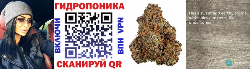 kraken   Заполярный  Марихуана Amnesia  дарнет шоп 